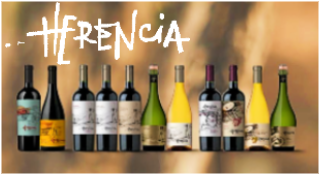 Bodega y Viñedos Polo